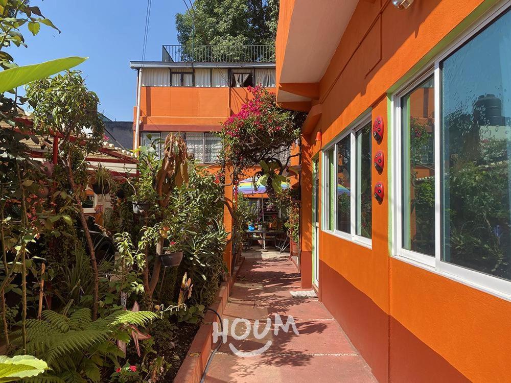 Hermoso Depa De 3 Recamaras Y 2 Banos En El Centro De Coyoacan