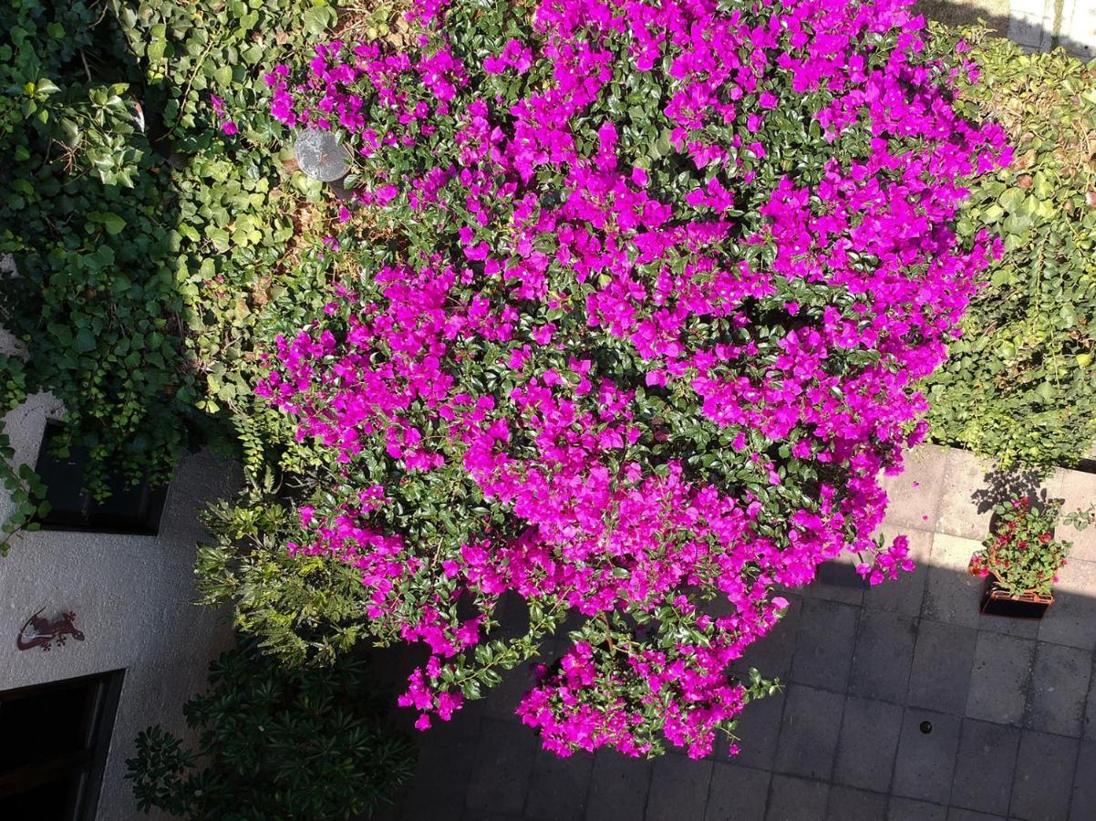 Meztli: Casa Boutique & 4* Cidade do México