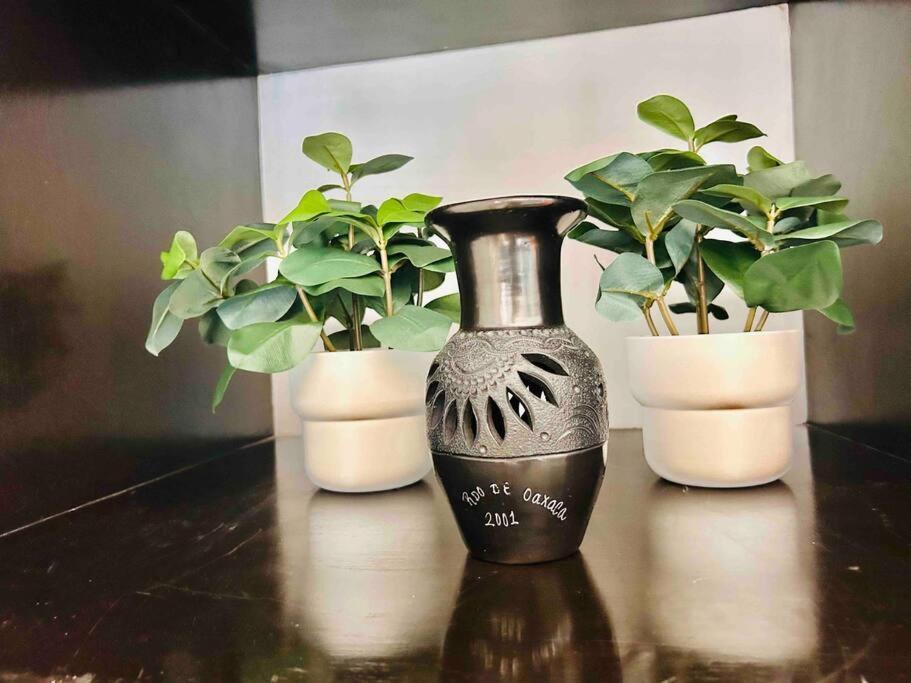 Apartamento Lindo Depa Muy Cerca De Coyoacan Y Universidad México DF