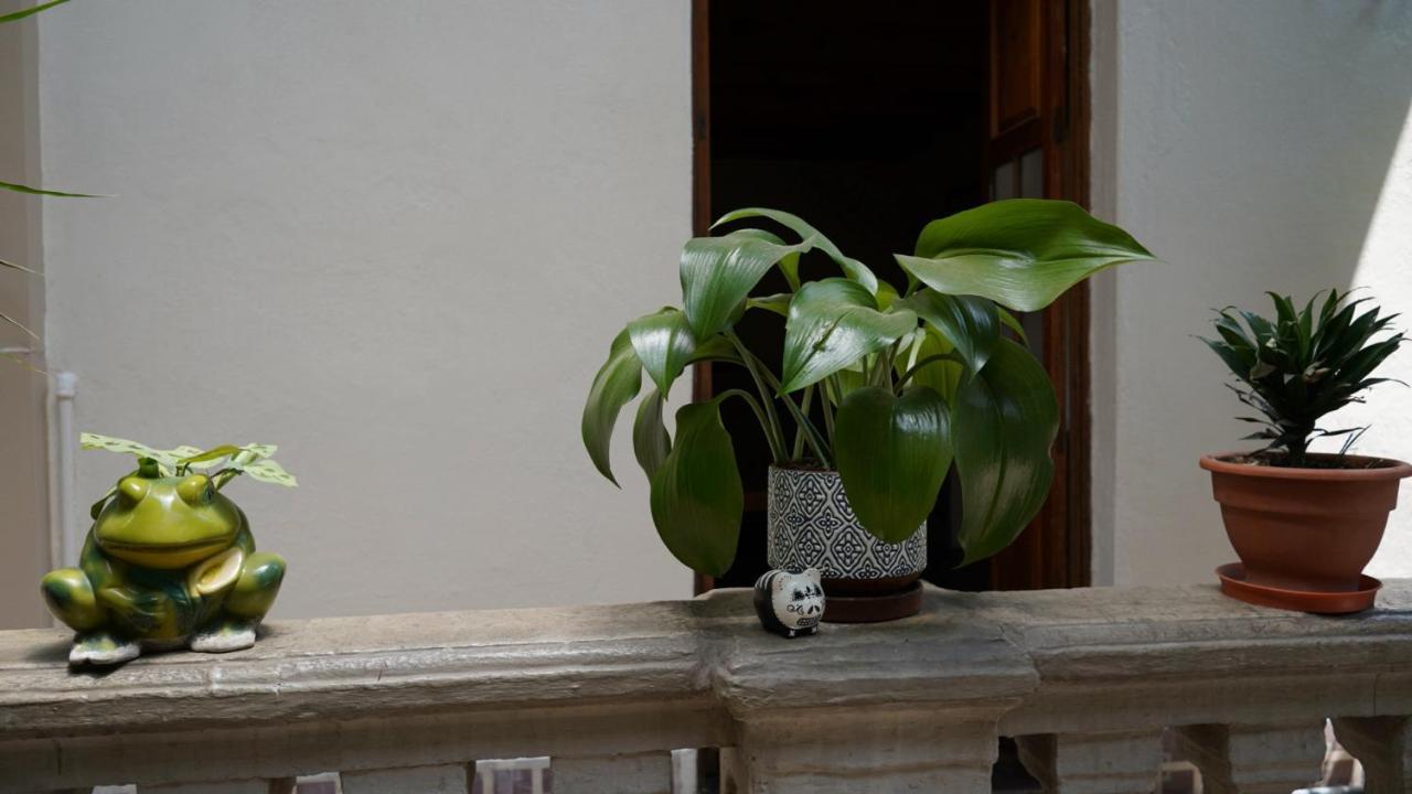 Meztli: Casa Boutique &
