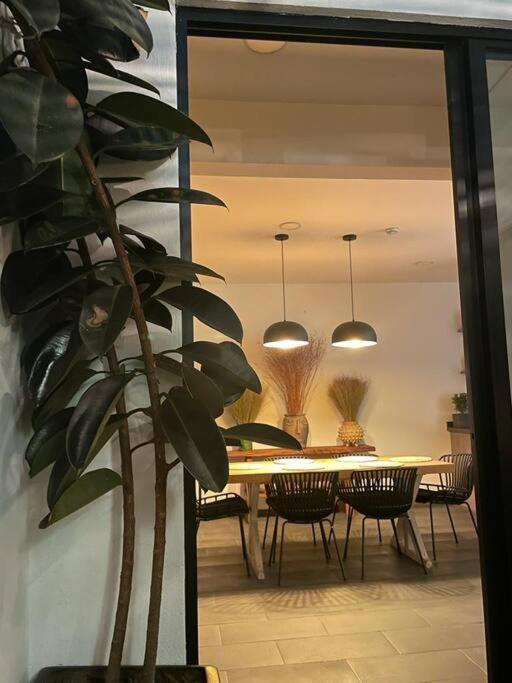 Apartamento Cautivador Espacio En La Roma México DF