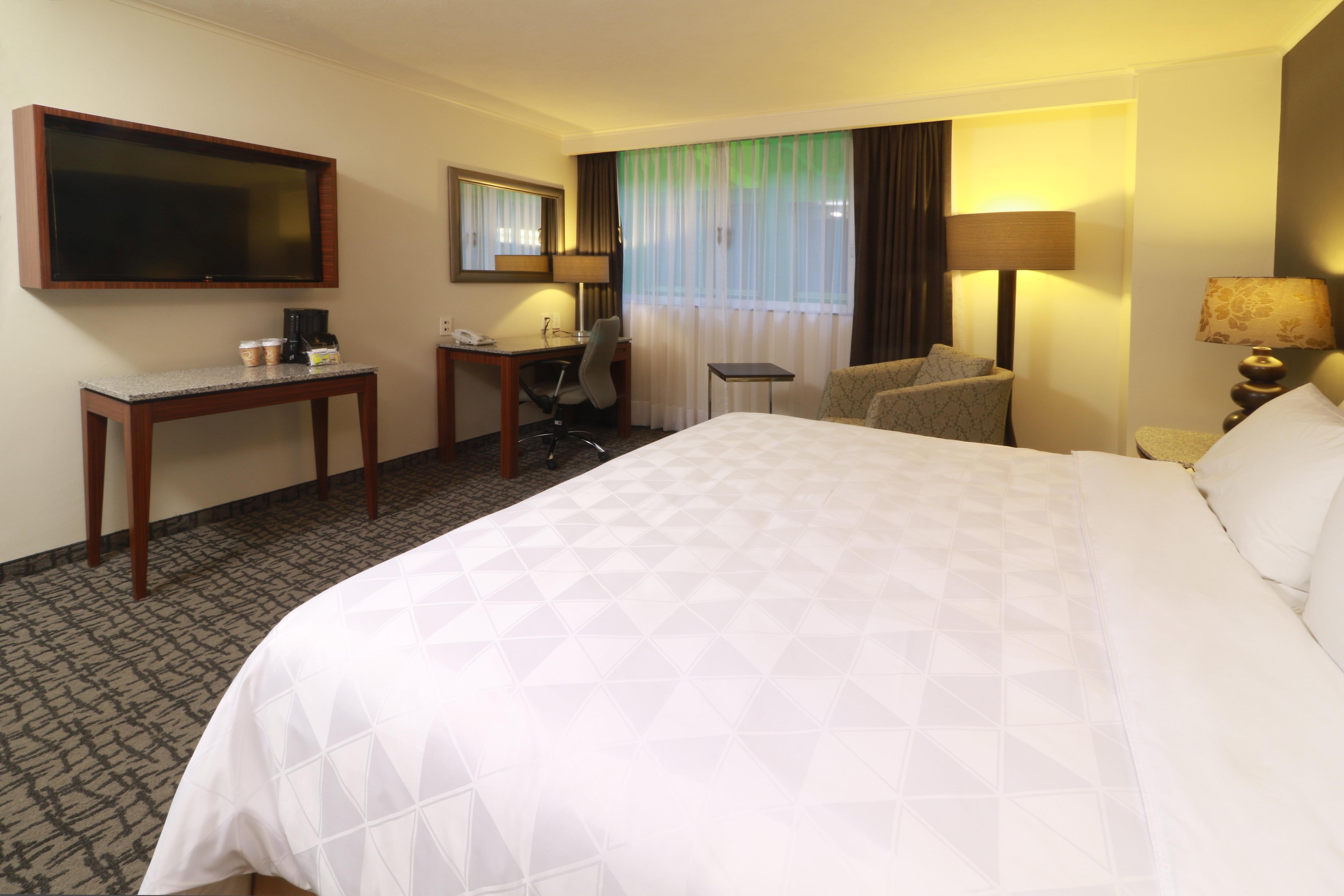 Hotel Mexico - Trade Center By Ihg