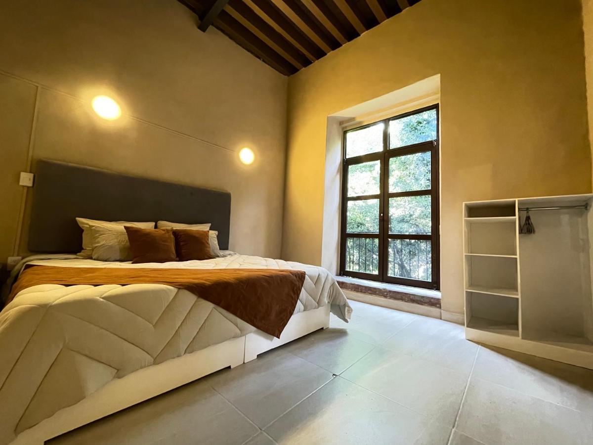 Colmena Centro 3*