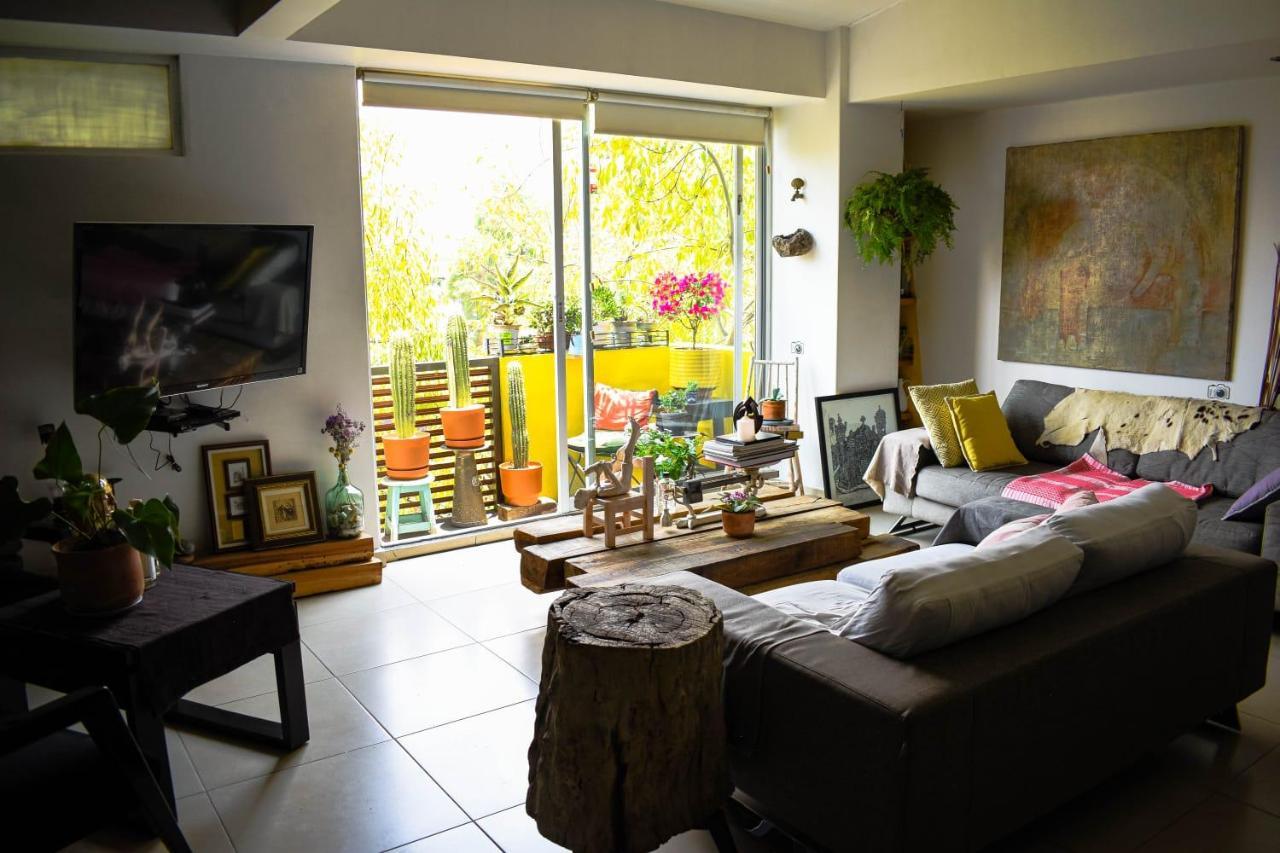 Homestay Pequena Frida - Design Cdmx - Areas Comunes Compartidas *