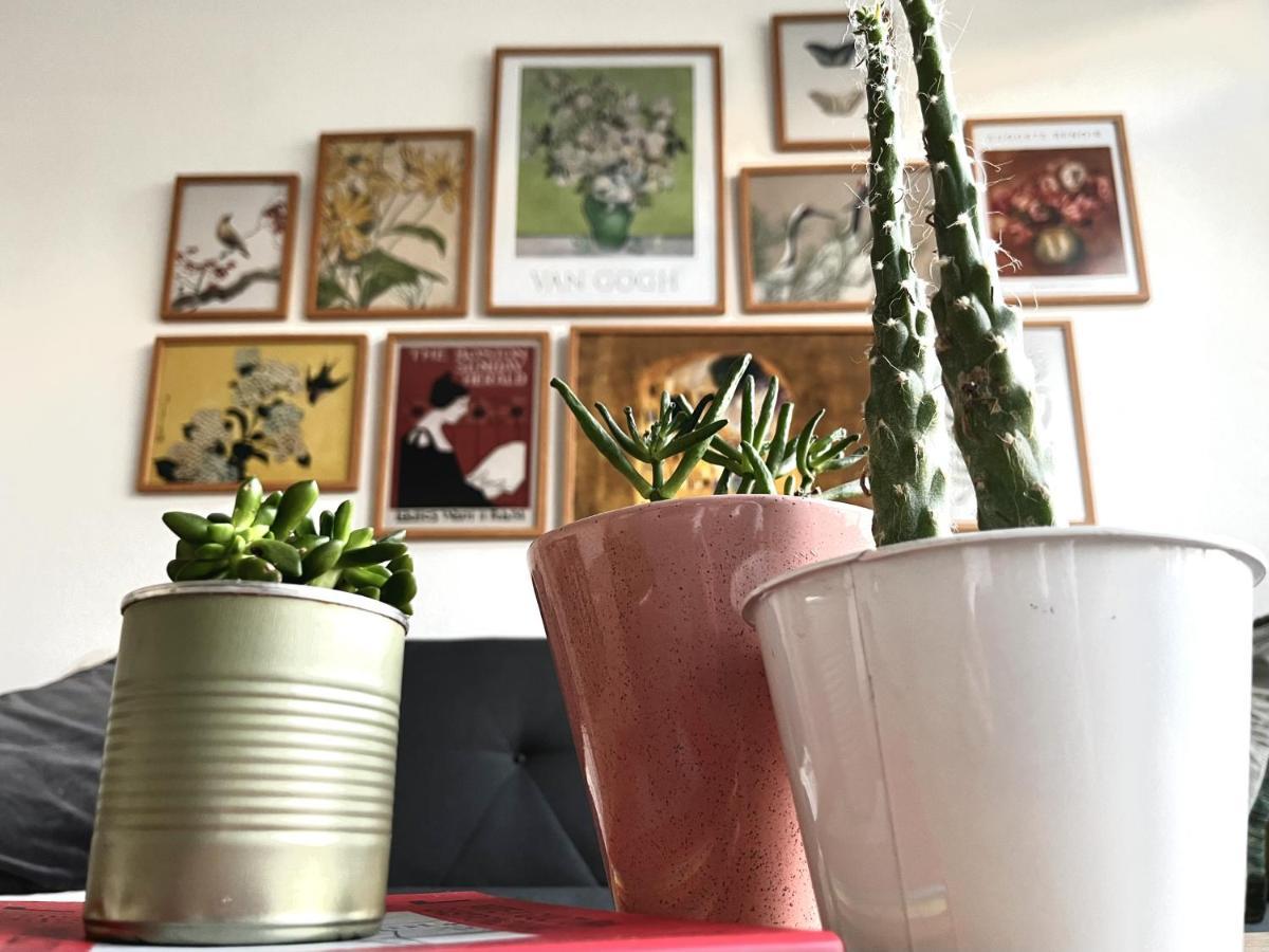 Apartamento Y Luminoso Apatamento En El Centro Historico *