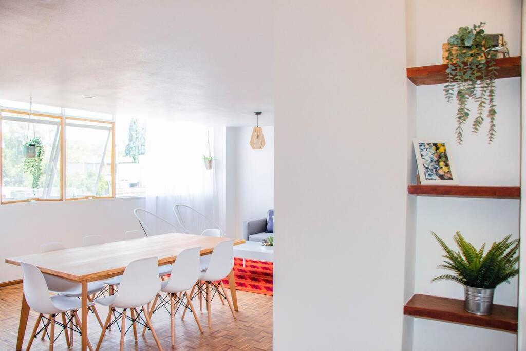 Delightful 4br Cozy Heart Of Artist District México DF