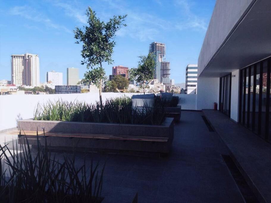 Apartment Secure, And Quiet Work Or Travel Mexico City