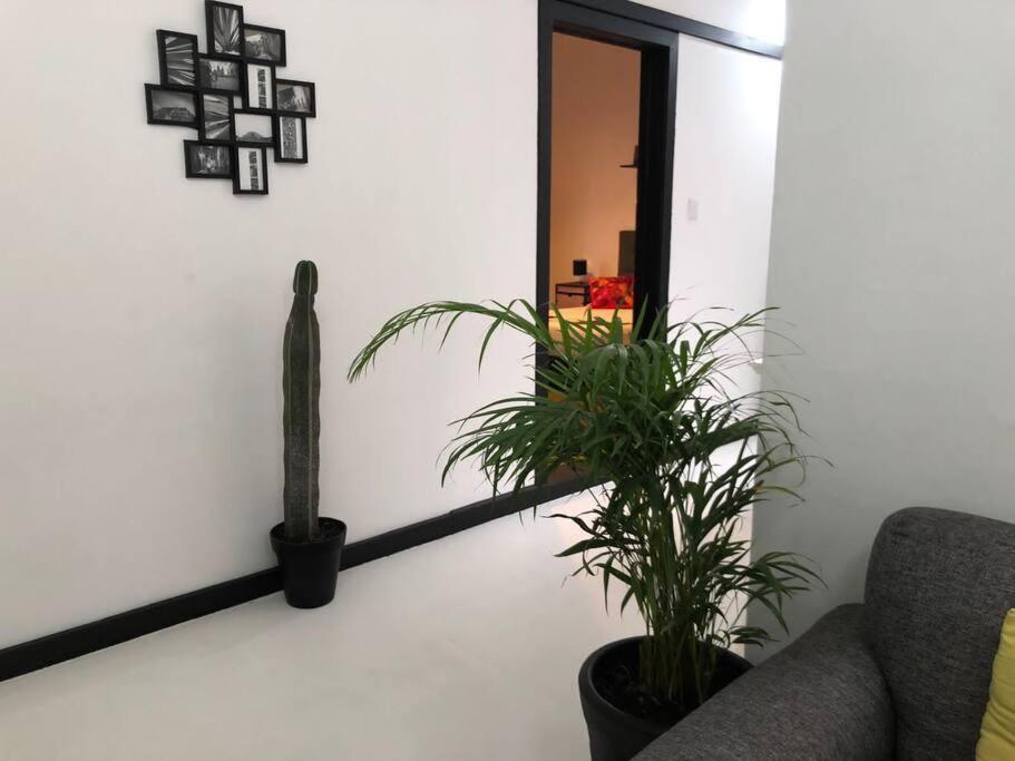 Habitación en casa particular C1 En Condesa Amsterdam *