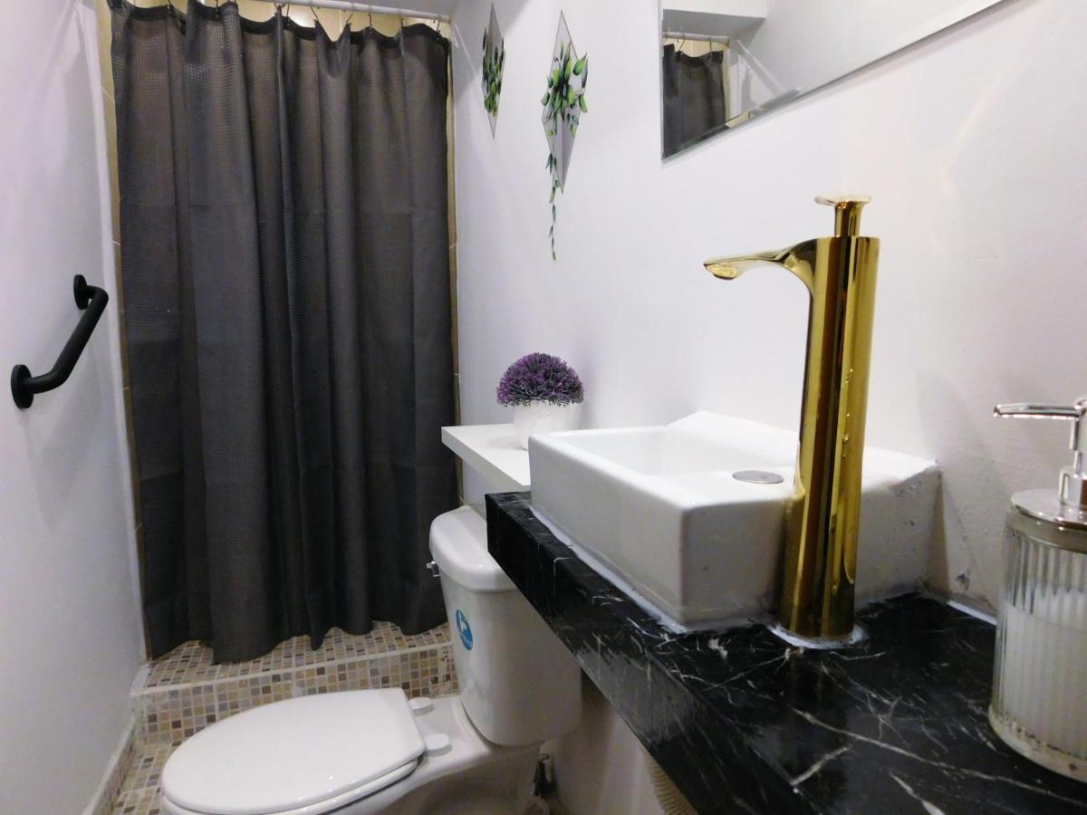 Apartamento Depa Privado Estadio Gnp -foro Sol-, Palacio De Deportes
