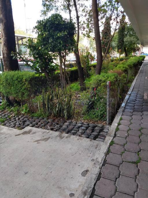 Depto Super Ubicado, A Unos Min Del Centro Historico. Metro Y Metrobus Tlatelolco * México DF