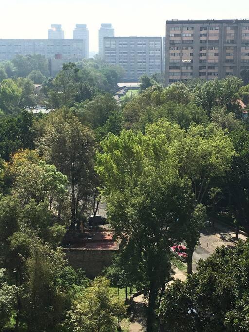 Depto Espacioso Con Hermosa Vista A Min Del Centro Historico De La Cdmx Apartamento