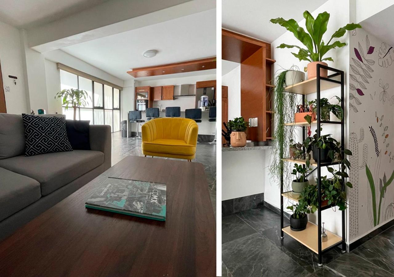 Great In The Heart Of Coyoacan Apartment *