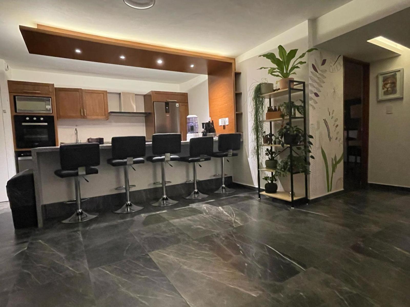 Great In The Heart Of Coyoacan