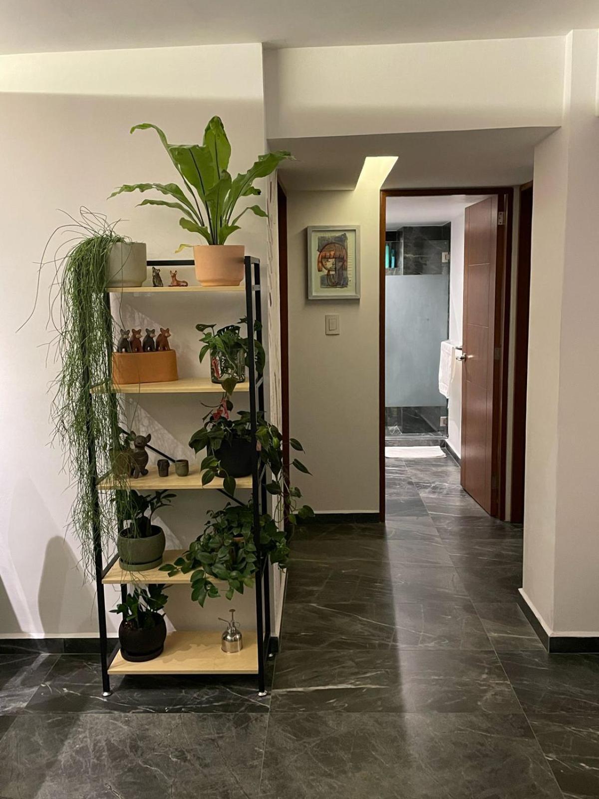 Apartment Great In The Heart Of Coyoacan *