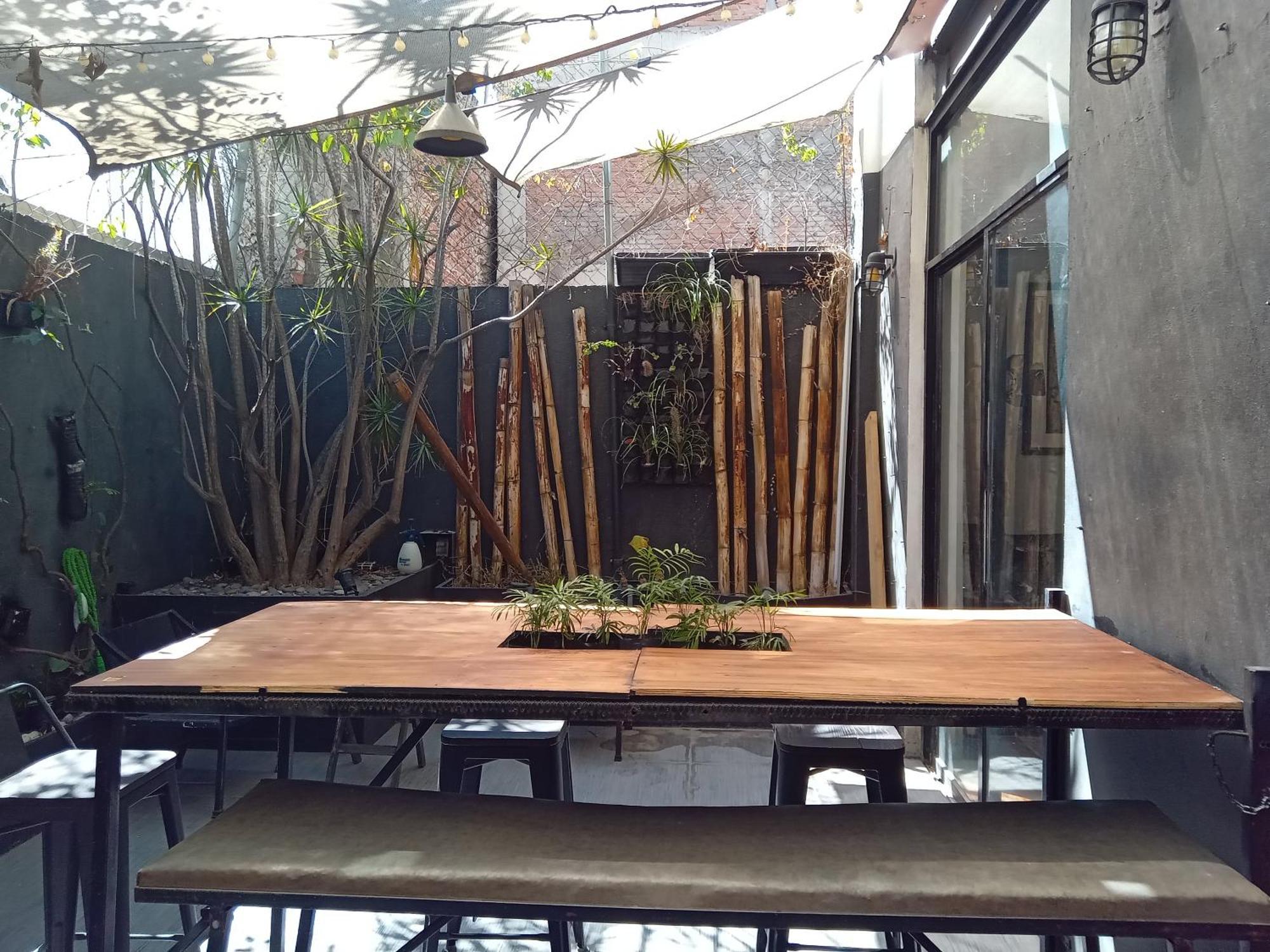Hermoso Departamento En Roma Norte