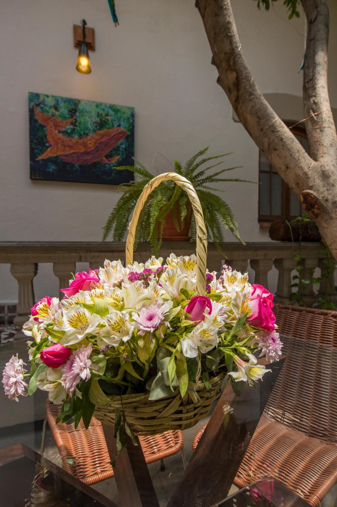 Hotel Meztli: Casa Boutique &