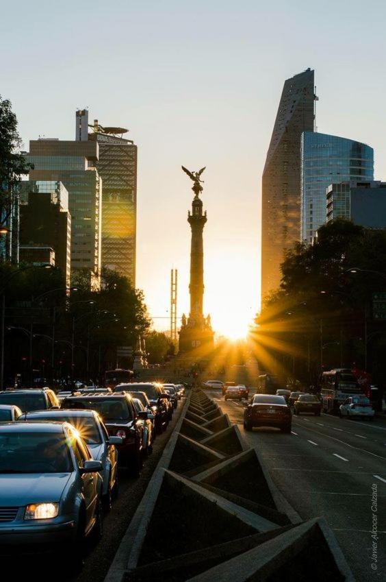 Modern Studio, Rooftop Charm, Cdmx Center2 México DF