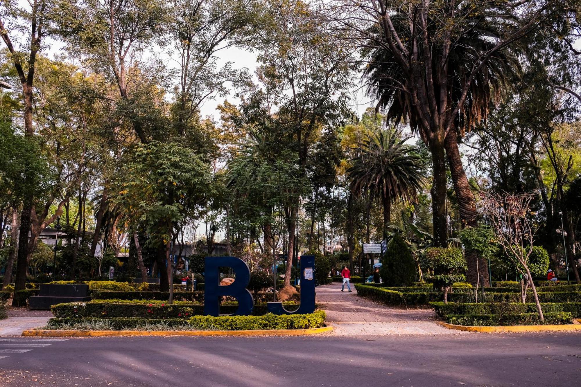 Modern Studio, Rooftop Charm, Cdmx Center2 México DF
