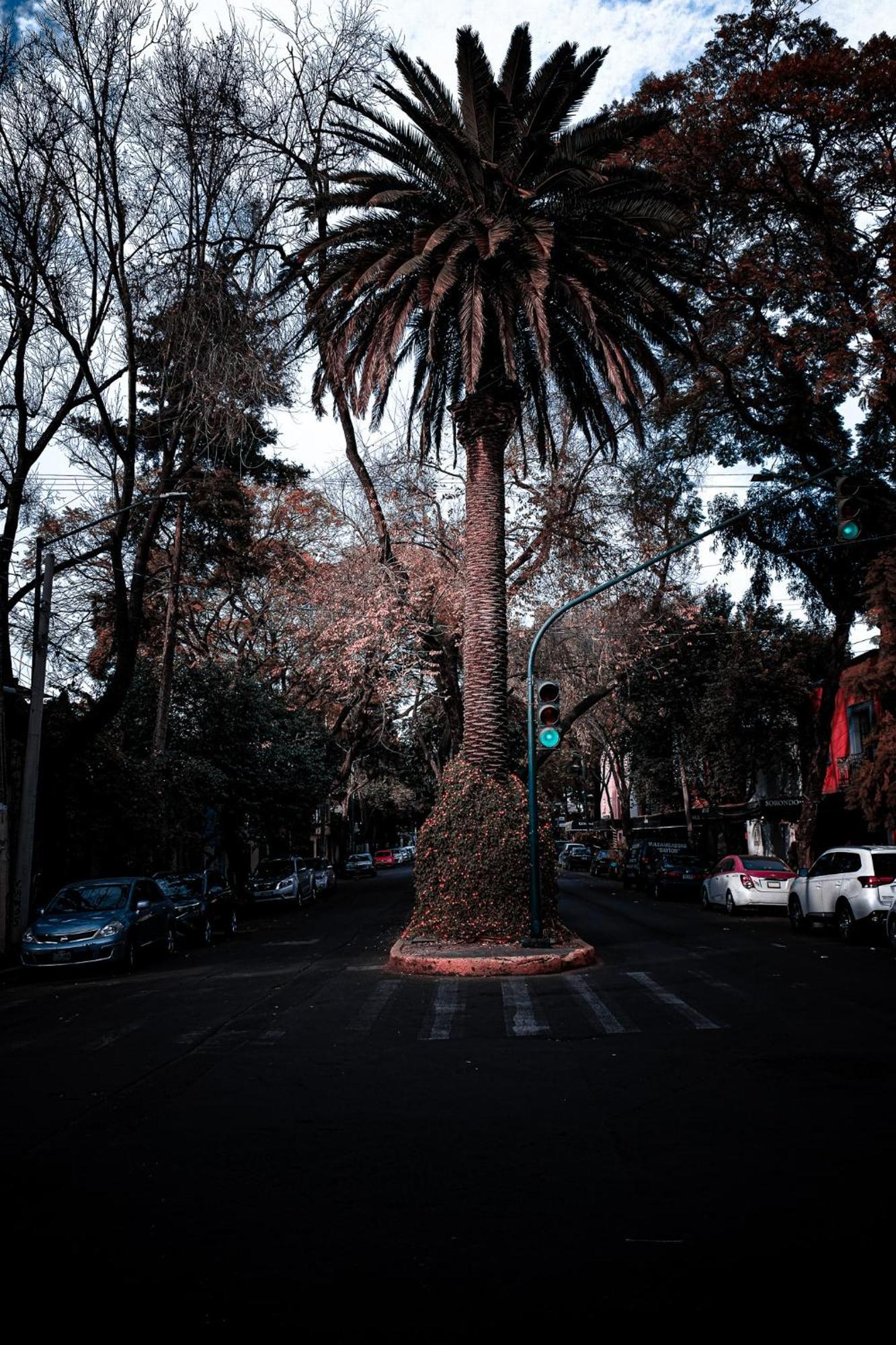 Apartamento Modern Studio, Rooftop Charm, Cdmx Center2 *