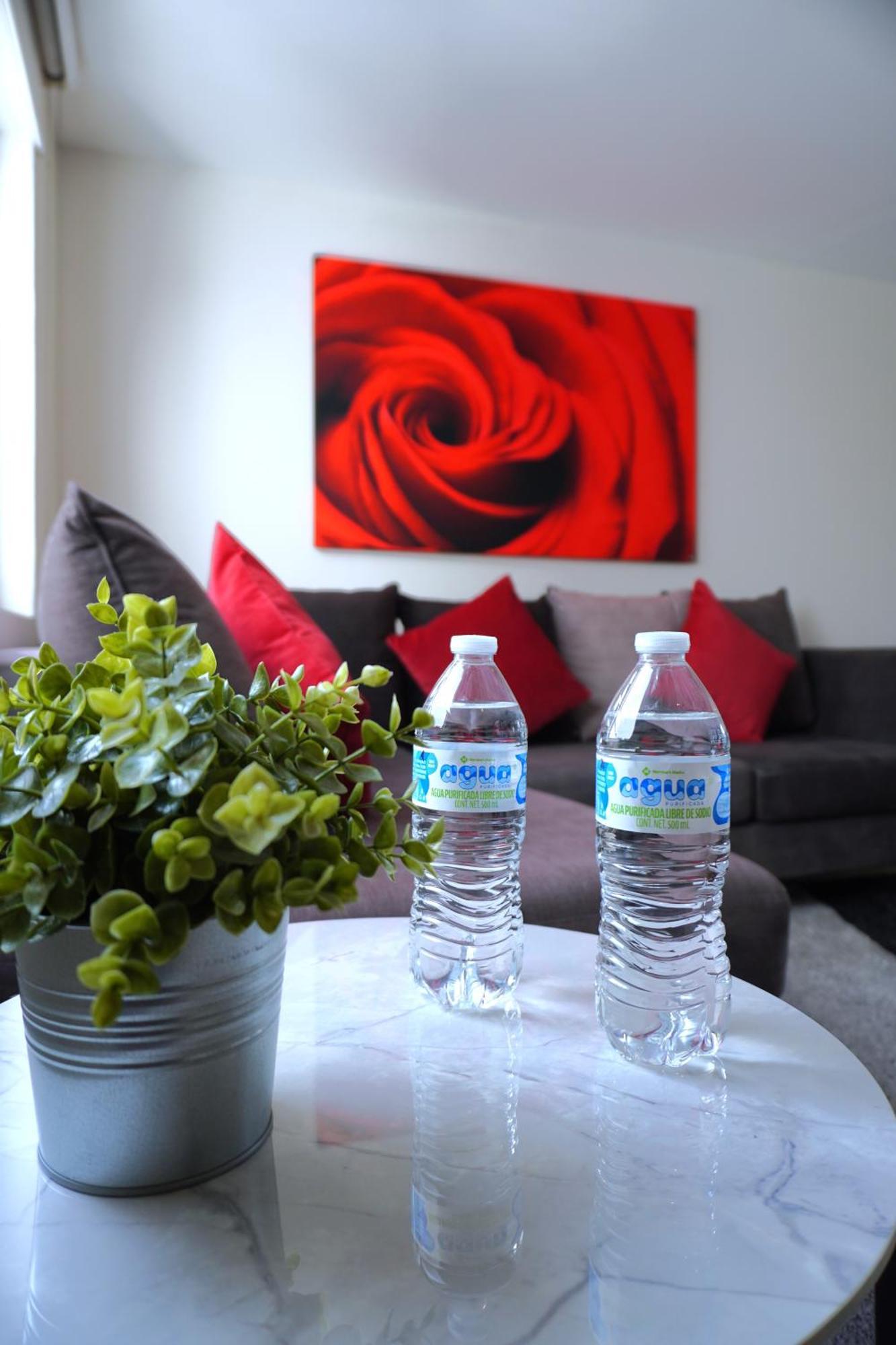 Apartamento Hermoso Ph !!, En El Corazon De La Roma *