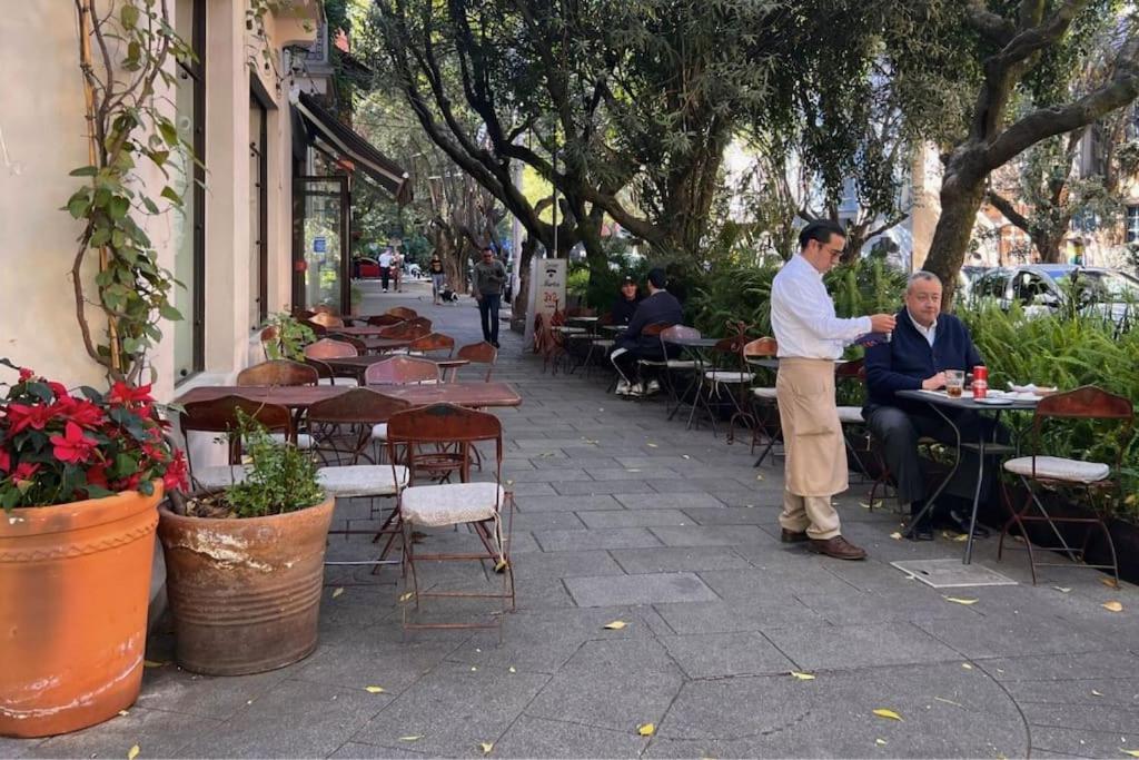 Condesa Amsterdam D Sunny 2bed 1bath In Condesa Apartment