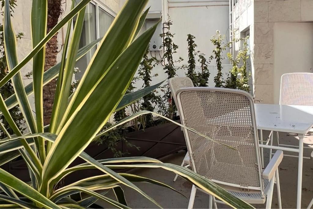 Condesa Amsterdam D Sunny 2bed 1bath In Condesa Apartment