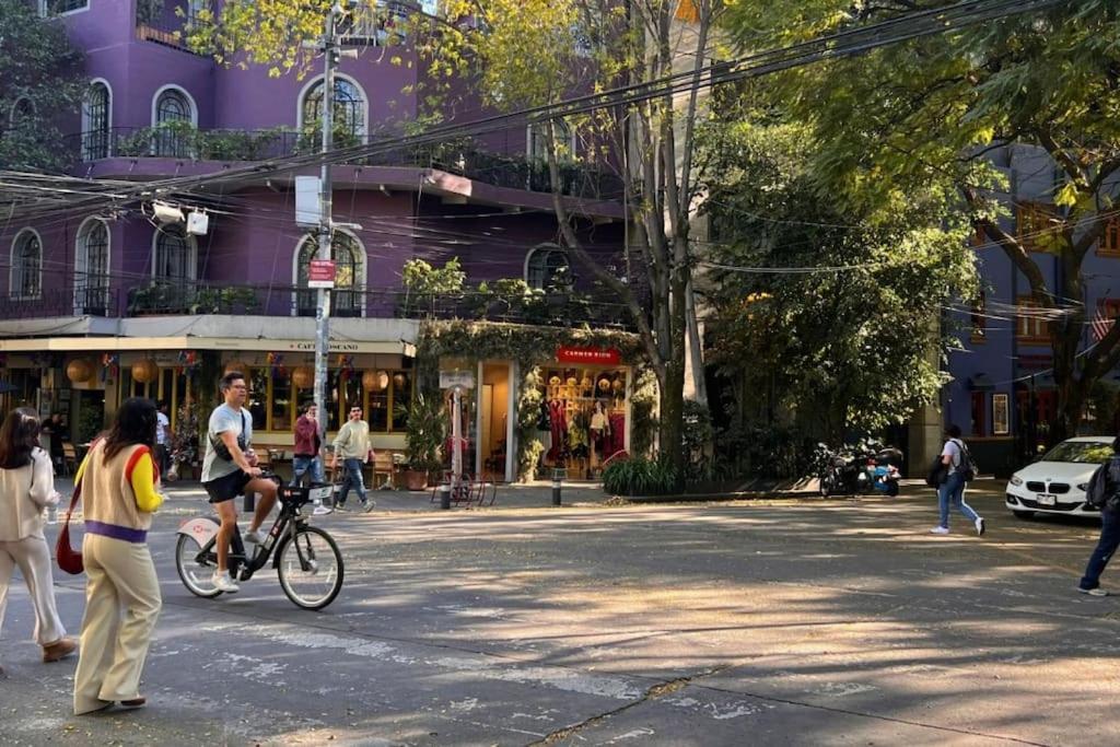 Condesa Amsterdam D Sunny 2bed 1bath In Condesa Mexico City