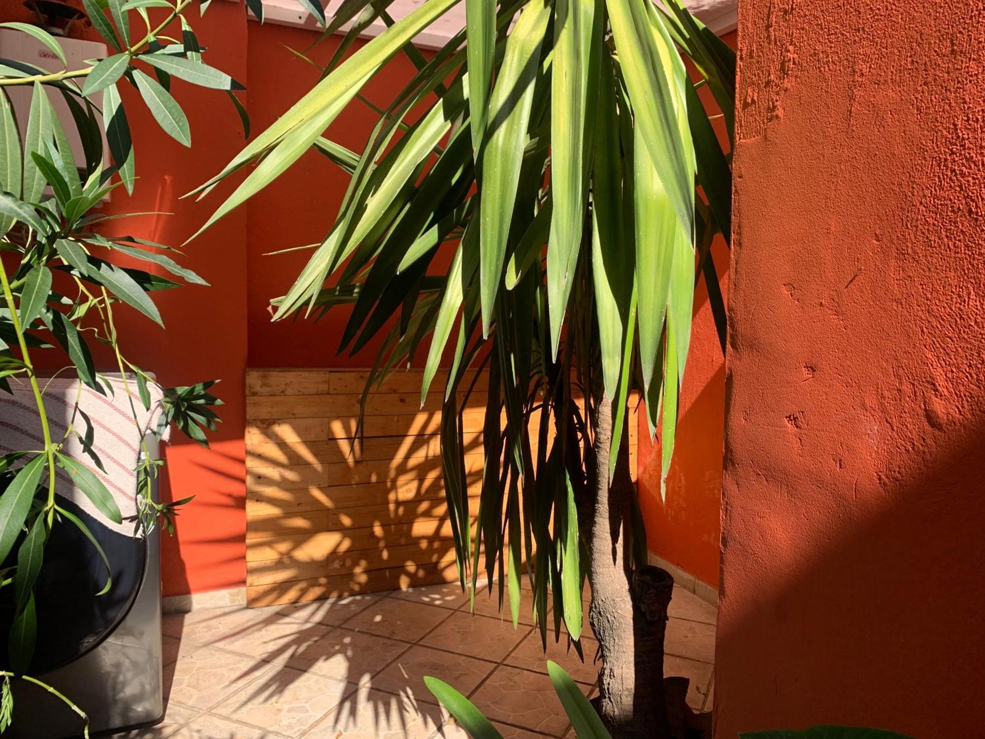 Coyoacan Bed and breakfast *