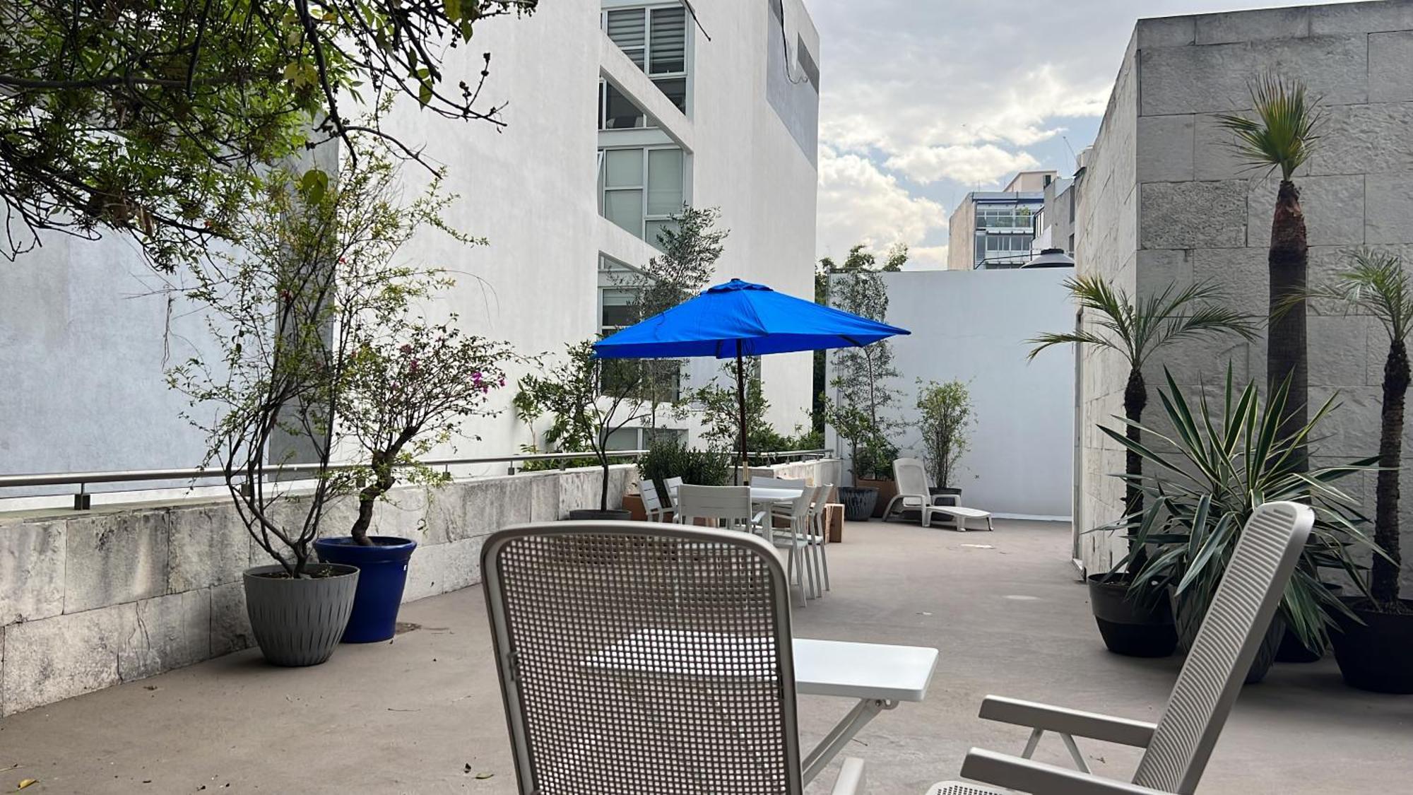 Condesa Amsterdam D Sunny 2bed 1bath In Condesa Apartment *