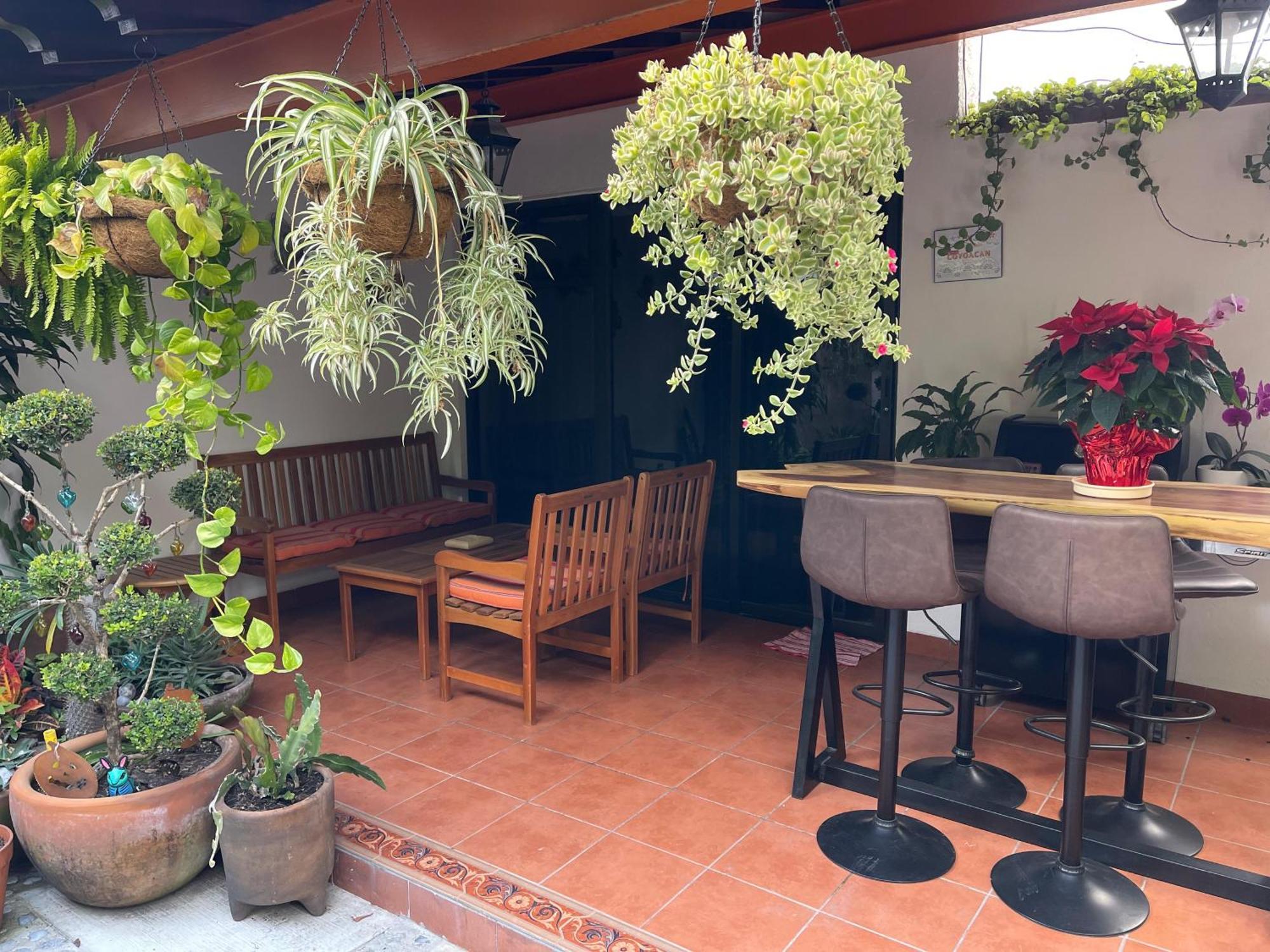 Mini Loft En Coyoacan * Cidade do México