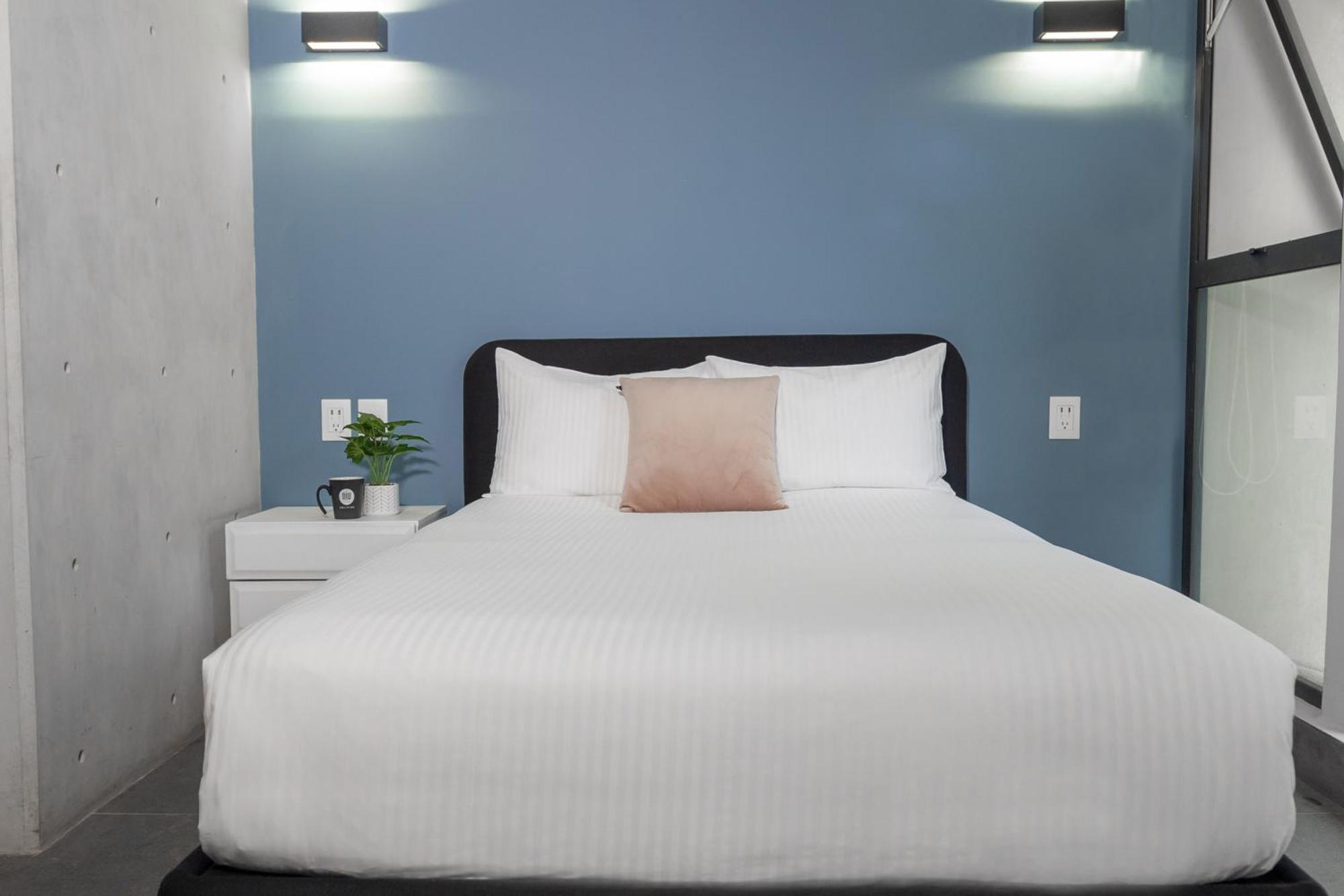 Niu Modern & Centric Lofts Apartment Mexico City