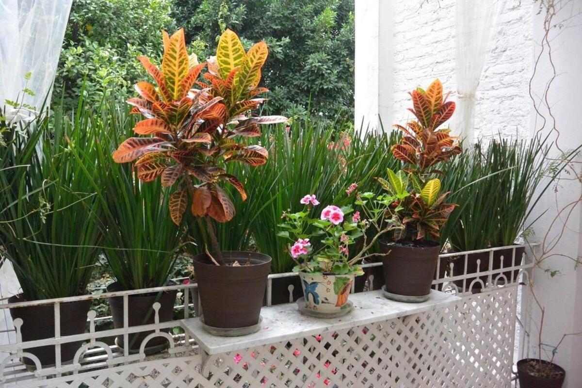 2br W/ Terrace And Very Good Location Apartamento México DF