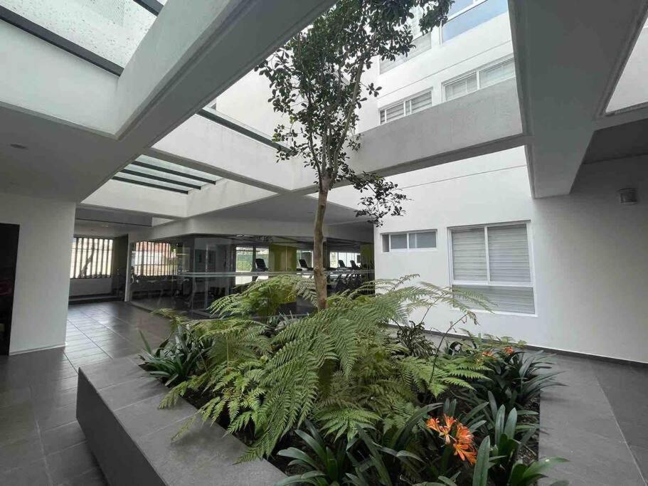 Departamento A 5 Min. Del Aeropuerto Cdmx. * México DF