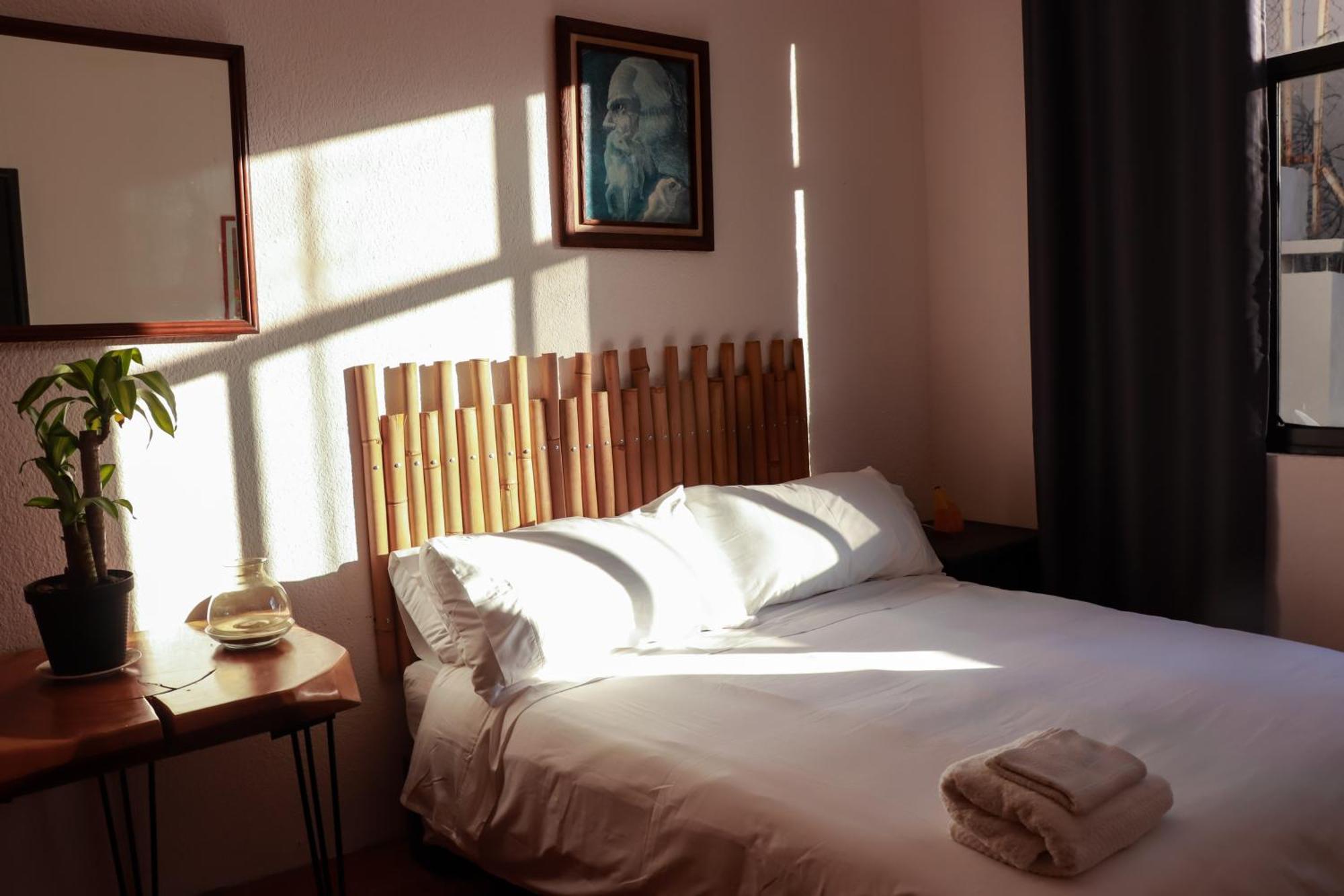 Guest house Mansion Bamboo Mexico City