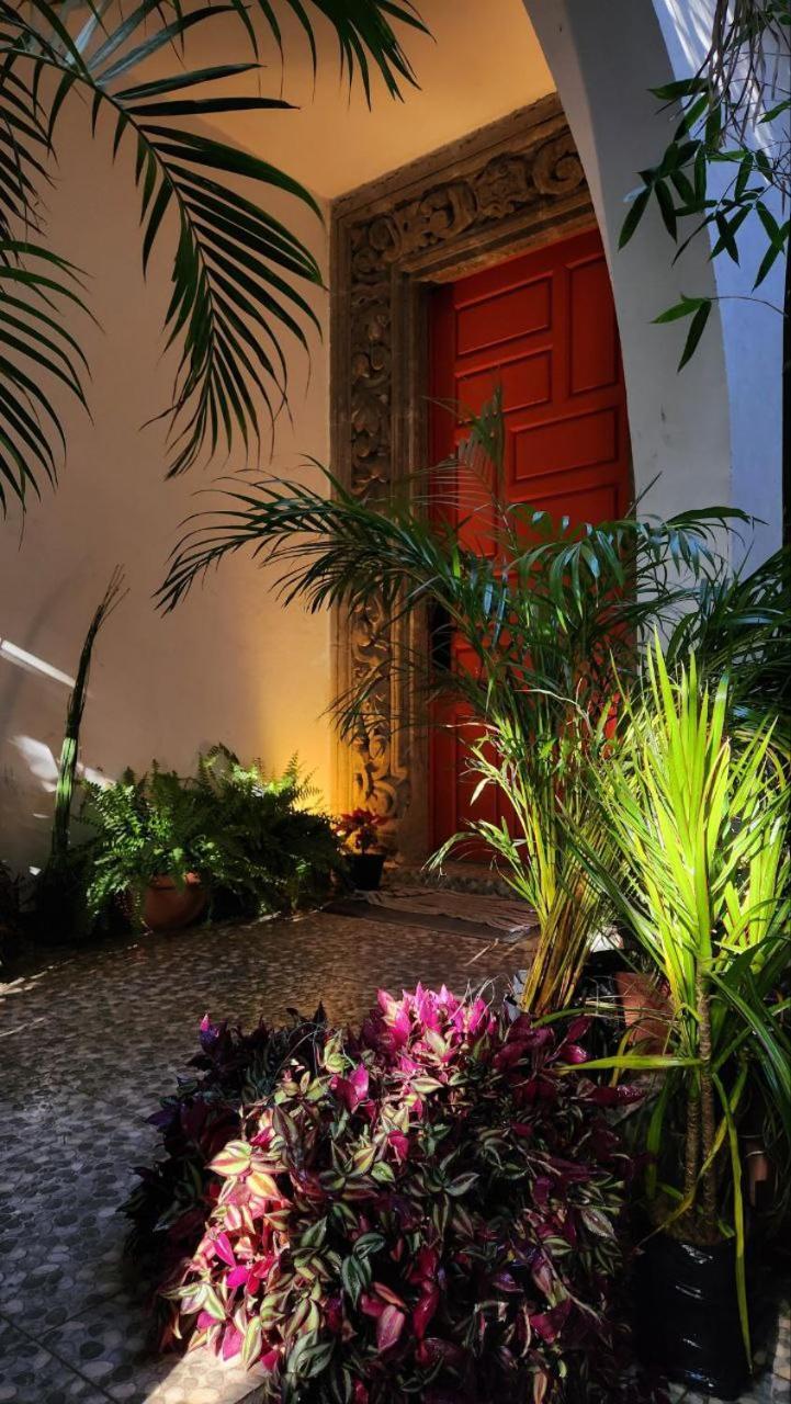 Mansion Bamboo *
