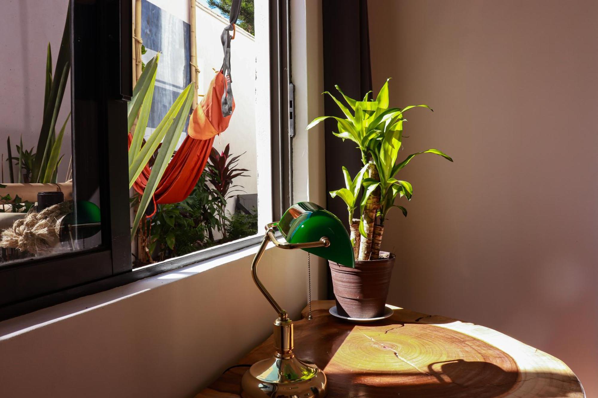 Guest house Mansion Bamboo