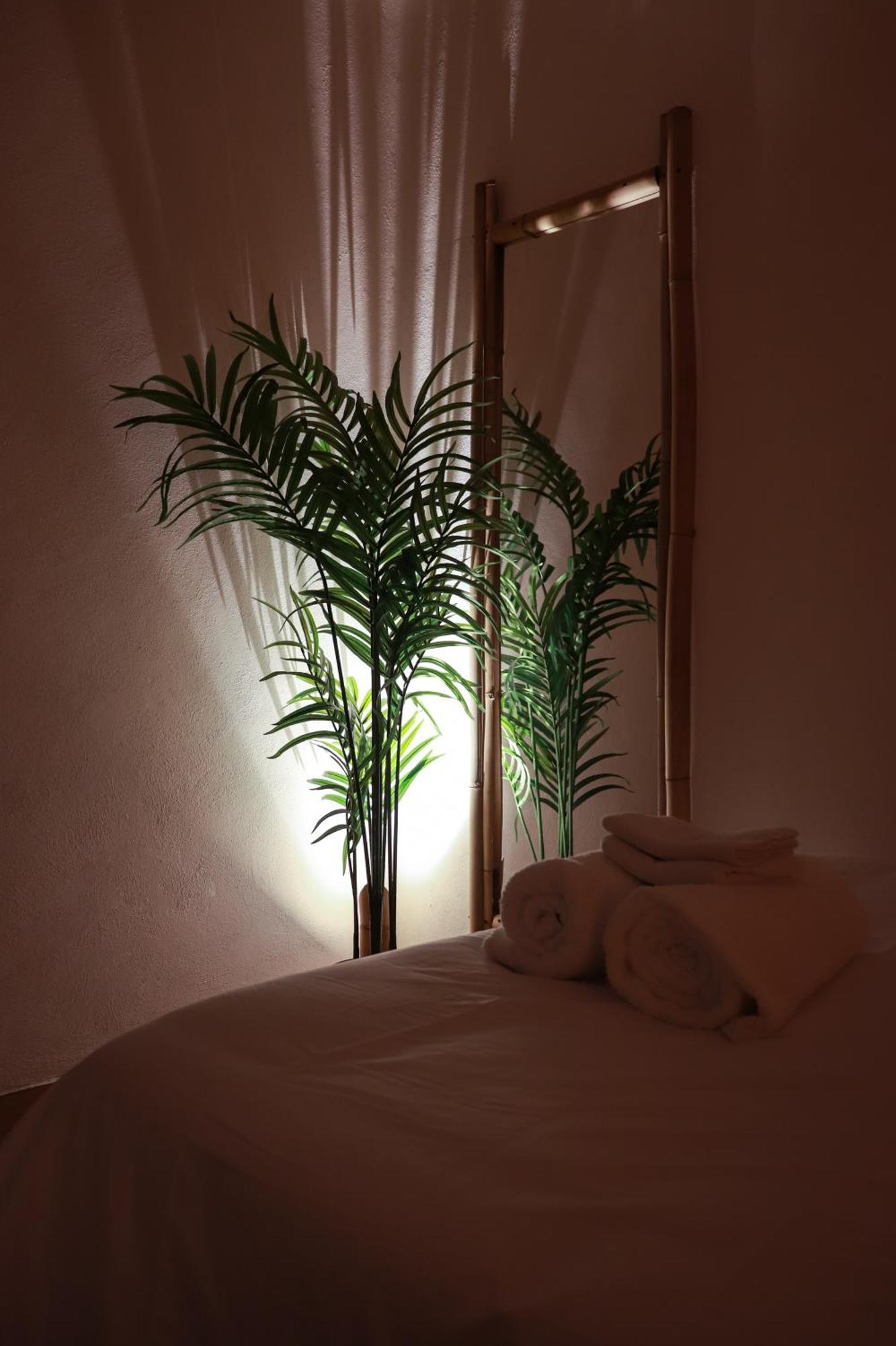 Guest house Mansion Bamboo Mexico City