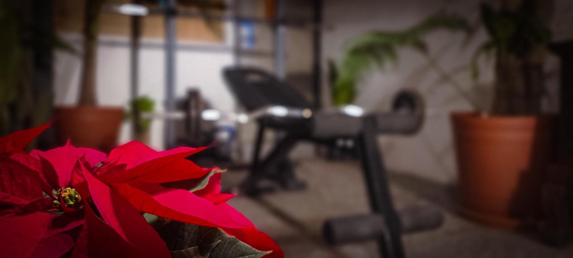 Mansion Bamboo Guest house