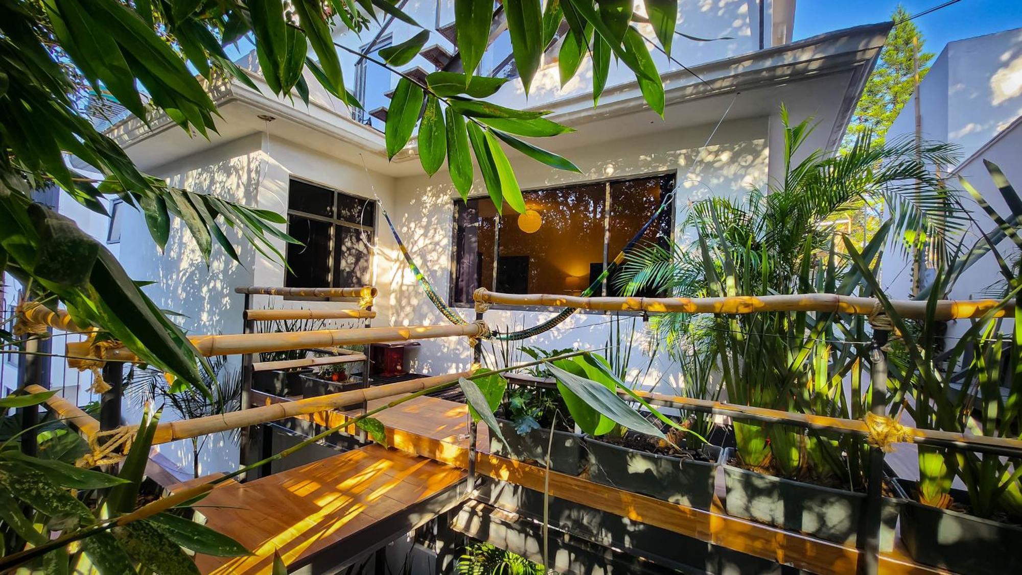Mansion Bamboo Guest house Mexico City