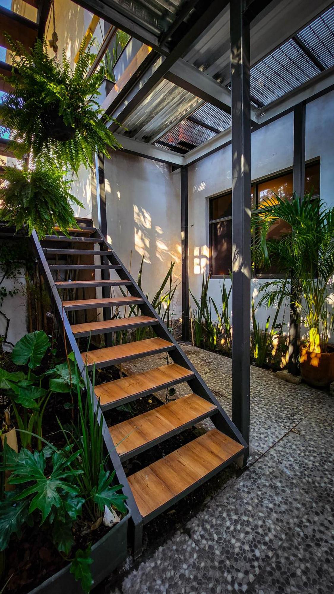 Mansion Bamboo Guest house *