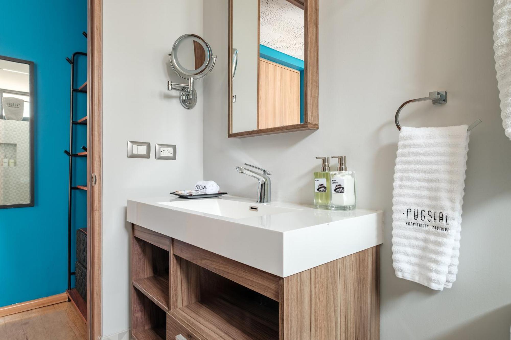 Pug Seal Polanco Allan Poe Hotel 5*