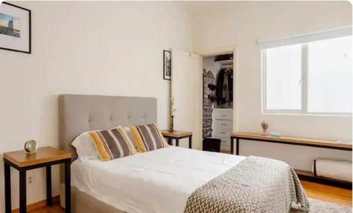 Apartamento Colima 427