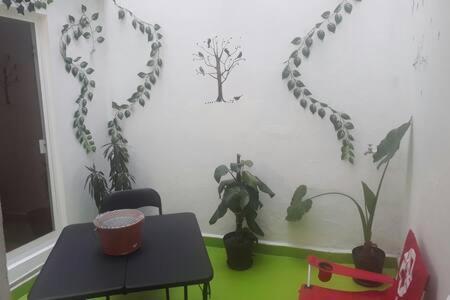 Apartamento Departamento Pequeno Y Acogedor En Colonia Roma México DF