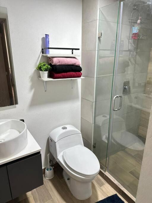 Departamento Centrico En Cdmx Apartamento