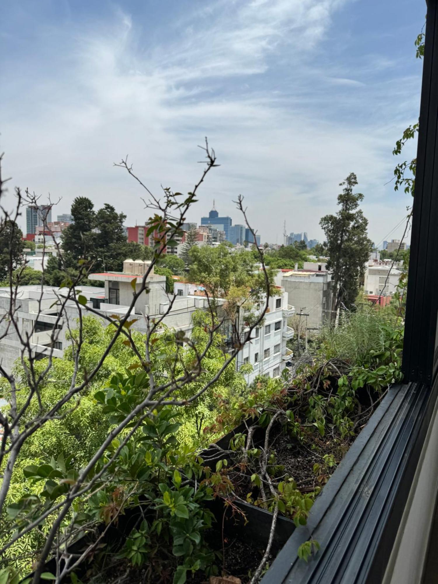 Calzolli Penthouse Casa De Huespedes Y Coliving Homestay Mexico City