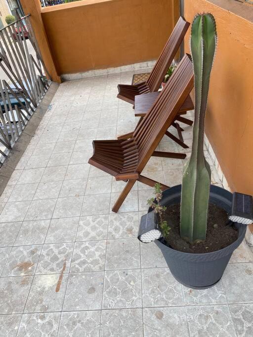 Casa Churubusco 15 Min De Coyoacan Apartamento *