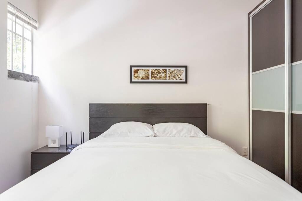 Condesa Amsterdam D Sunny 2bed 1bath In Condesa Apartment Mexico City