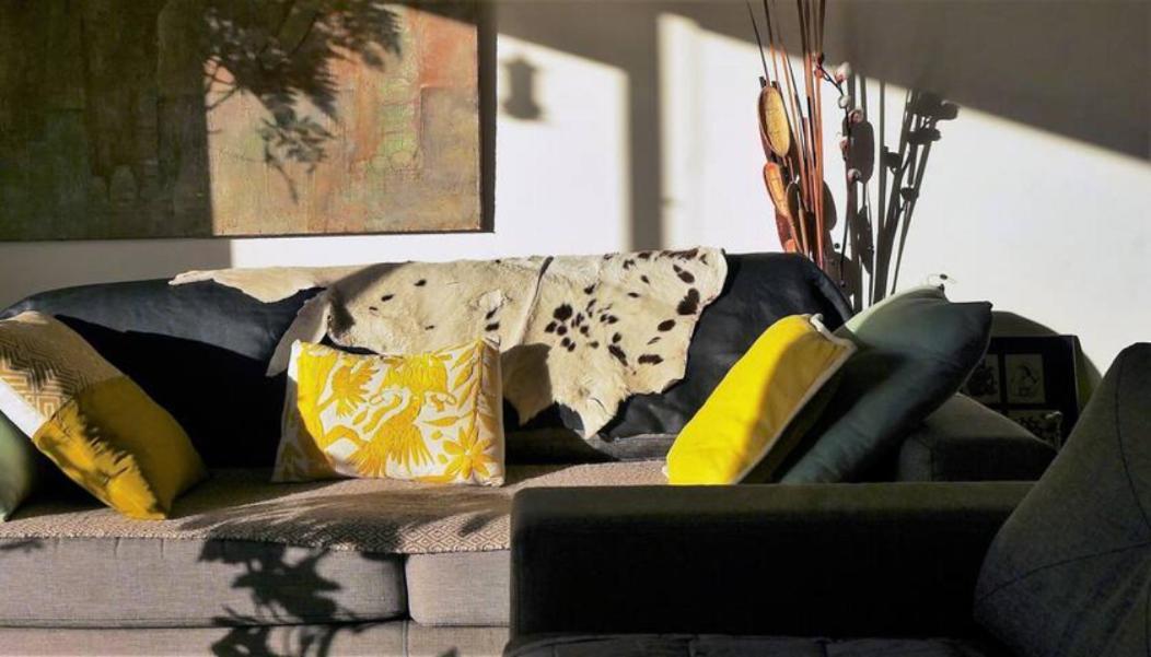 Homestay Pequena Frida - Design Cdmx - Areas Comunes Compartidas *