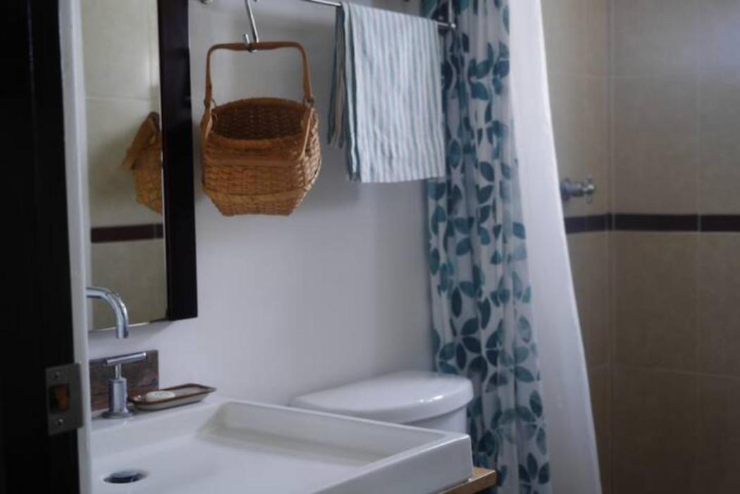 Homestay Pequena Frida - Design Cdmx - Areas Comunes Compartidas Mexico City
