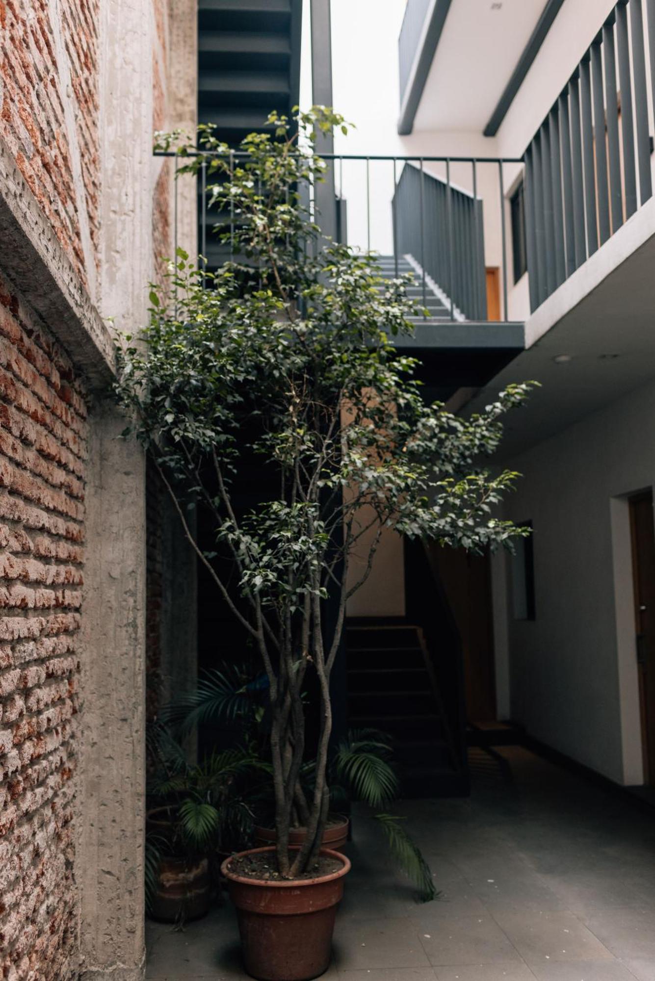 Apartment Casa Xotol Mexico City